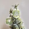 Tidings of Joy Collection - Image 6